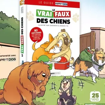 Es-tu un vrai passionné de chien ?