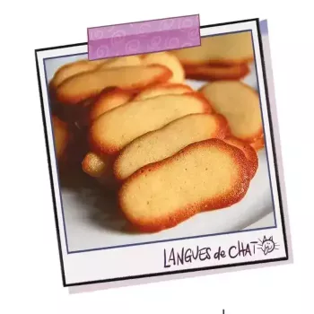 La recette de langue de chat de Cath & son chat !